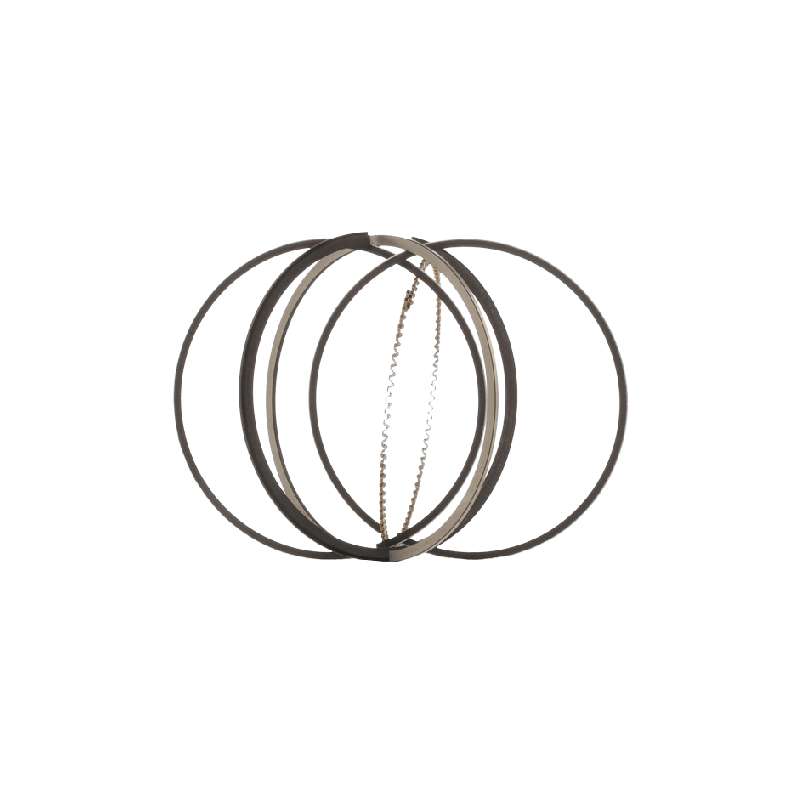 رینگ پیستون بی ام و 750 اتاق F02