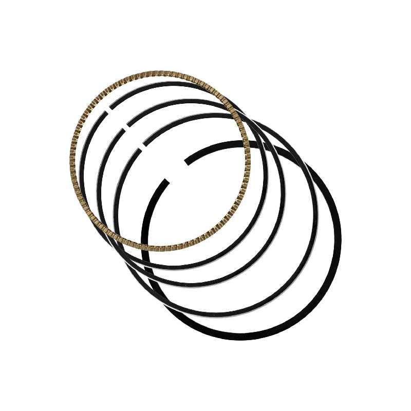 رینگ پیستون بی ام و x1 اتاق f48